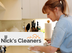 domestic_cleaning